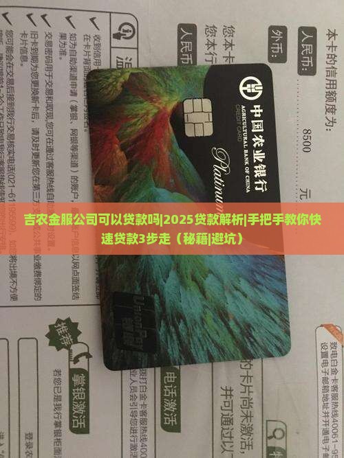 吉农金服公司可以贷款吗