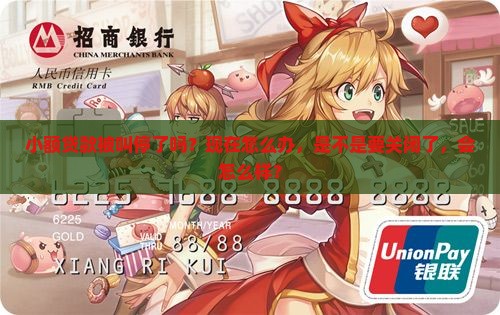 小额贷款被叫停了吗