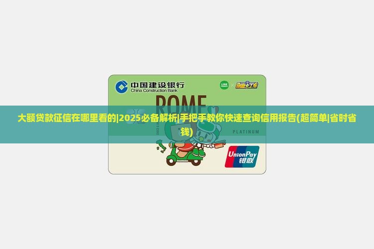 大额贷款征信在哪里看的