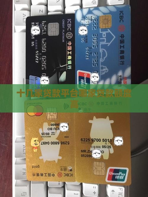 十几家贷款平台可以贷出多少钱