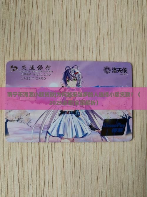 南宁市海源小额贷款