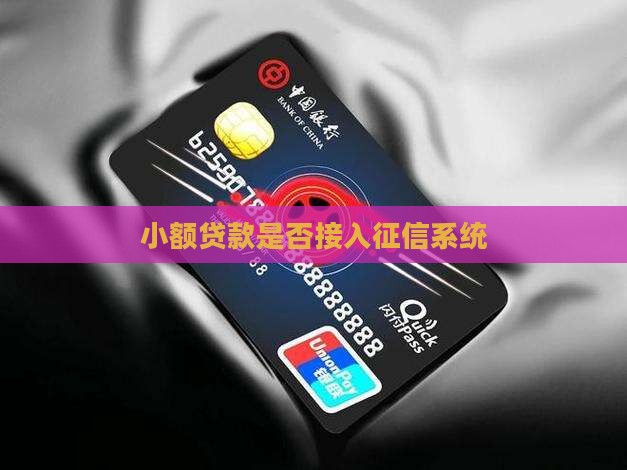 小额贷款参与征信吗