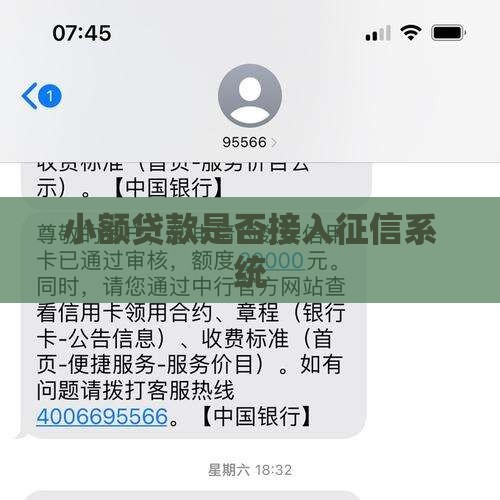 小额贷款参与征信吗