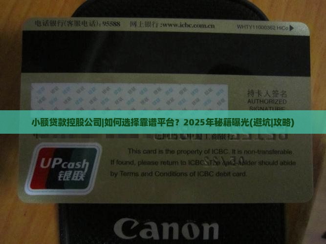 小额贷款控股公司