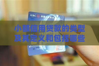 小额信用贷款的类型