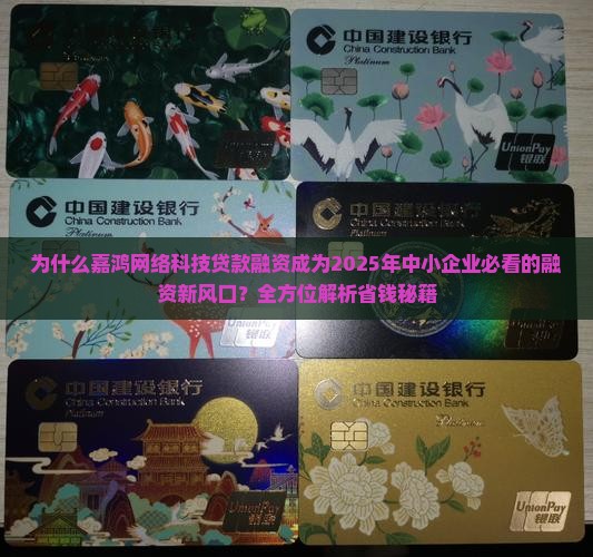 嘉鸿网络科技贷款融资