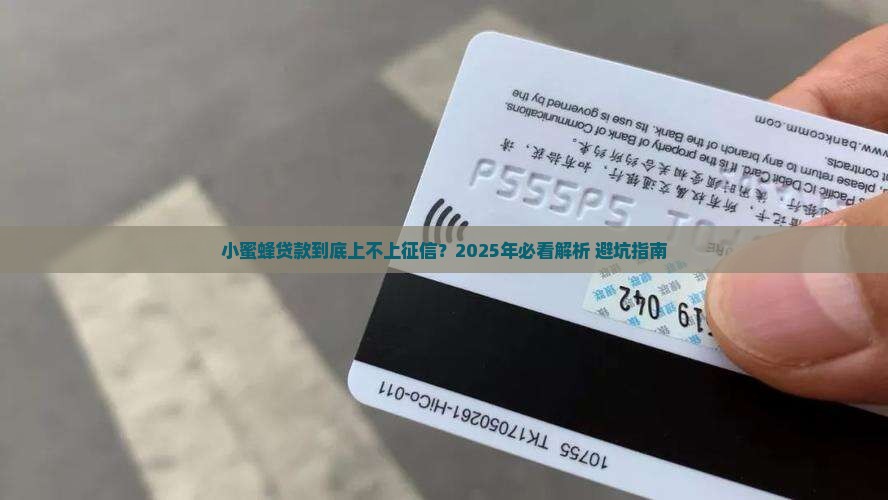 小蜜蜂贷款上不上征信