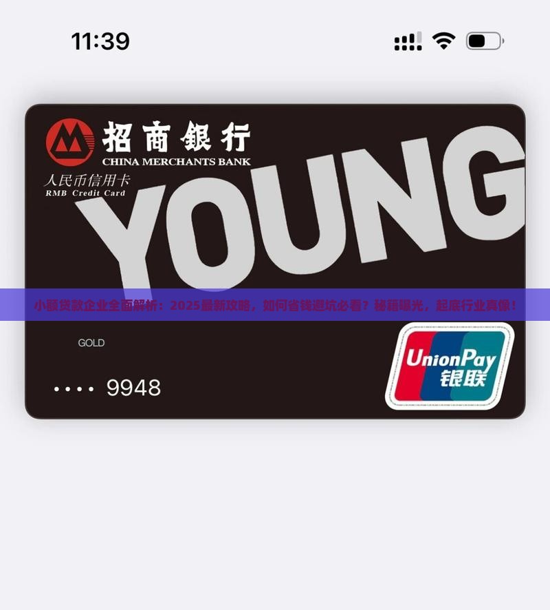 小额贷款企业分析