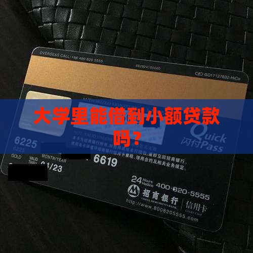 大学有小额贷款吗