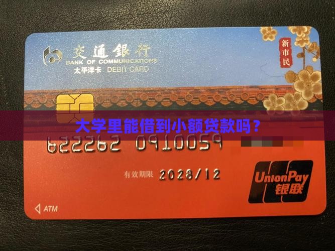 大学有小额贷款吗