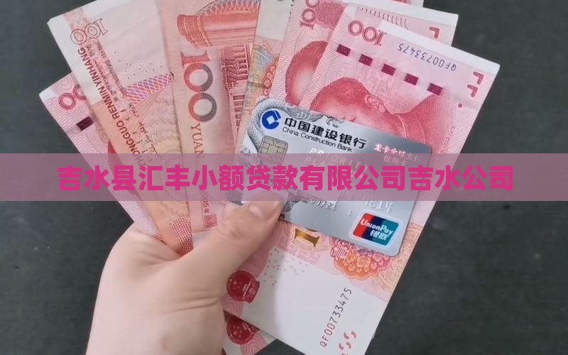 吉水县小额贷款的公司