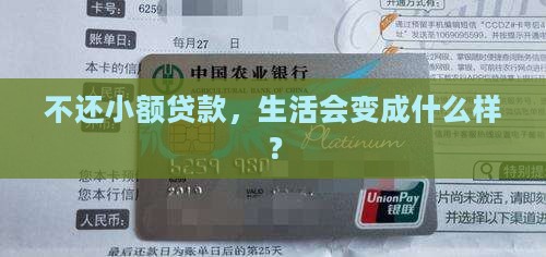 小额贷款不交的后果怎样