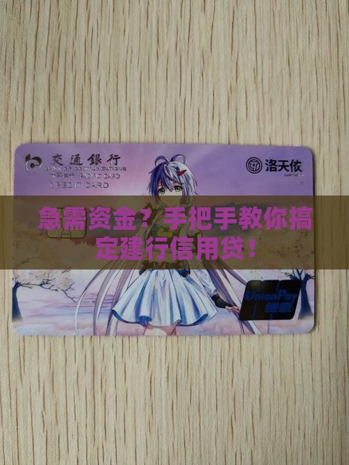 如何办建行的信用贷款