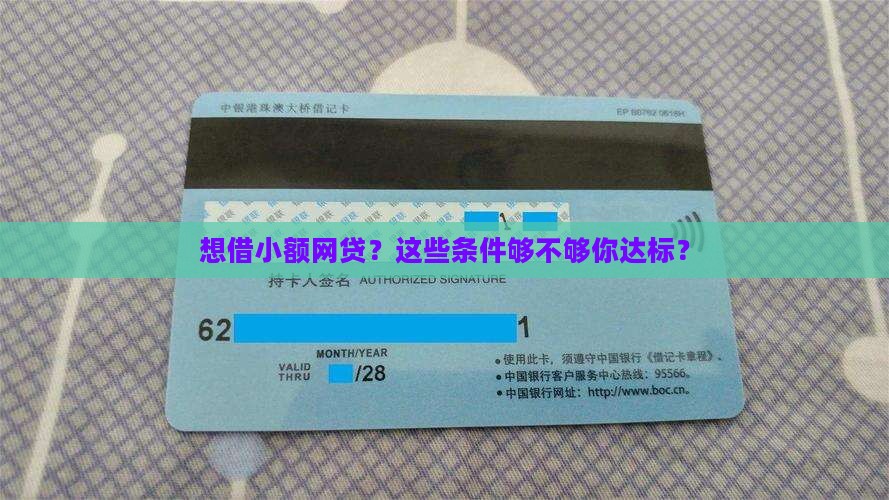 小额网贷需要什么条件才能贷款