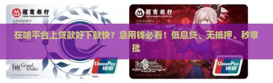 在啥平台上贷款好下款快