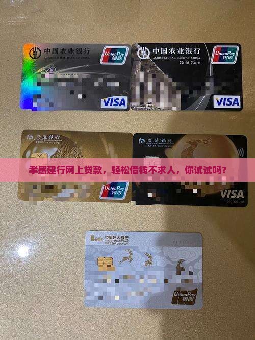 孝感建设银行网上贷款