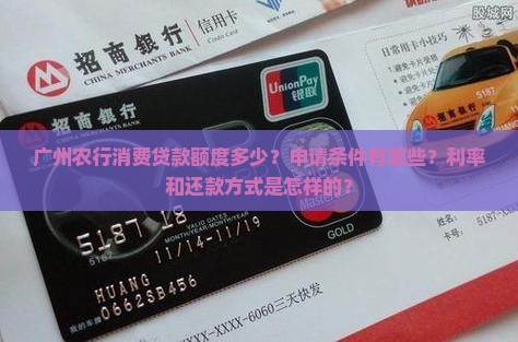 广州农行消费贷款