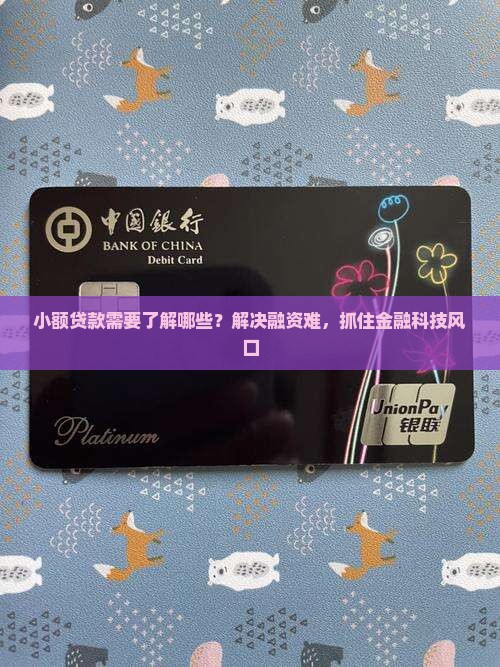 小额贷款需要了解哪些