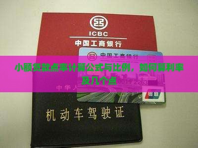 小额贷款点率
