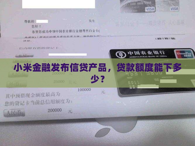 小米的金融贷款能下多少