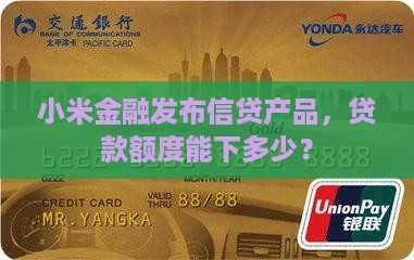 小米的金融贷款能下多少