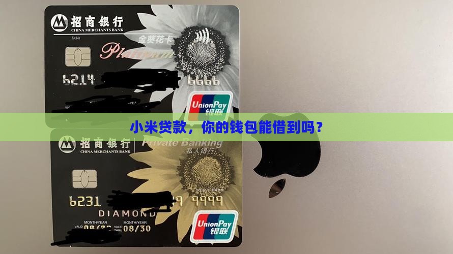 小米贷款容易批吗