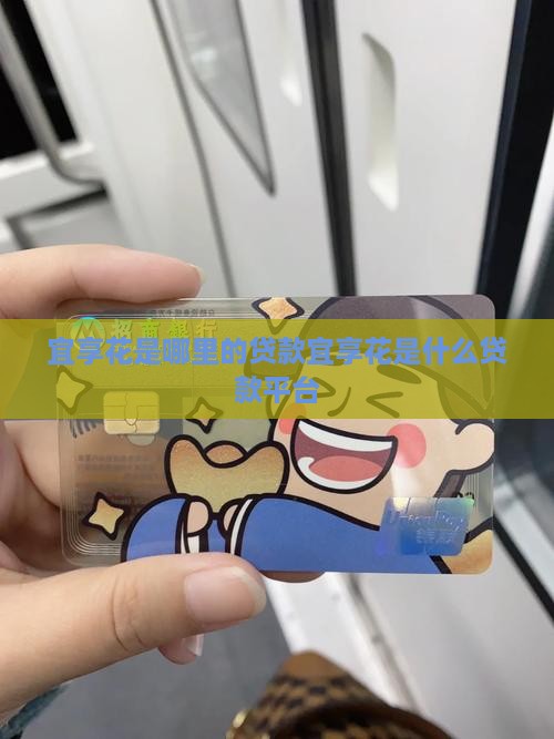 宜享花是哪里的贷款