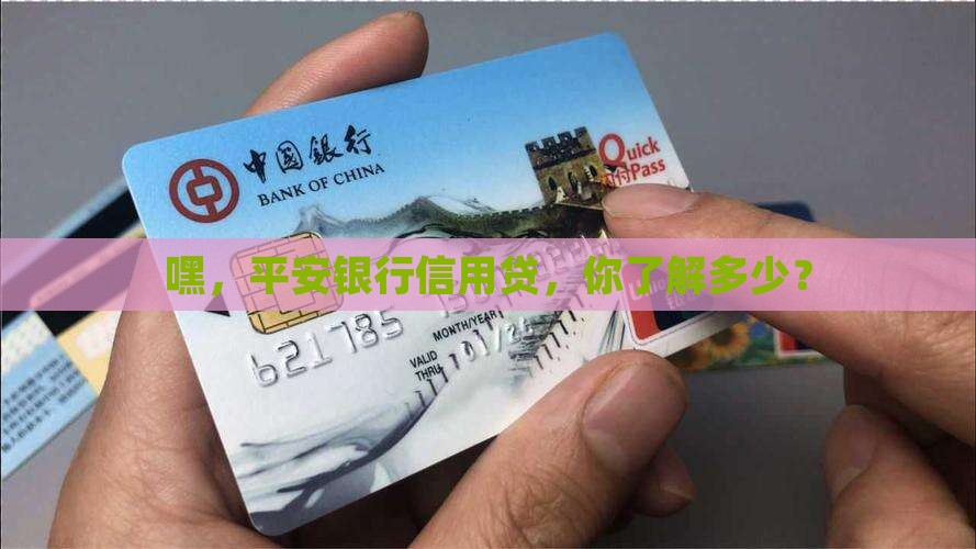 平安银行信用贷款人