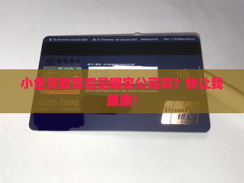 小鱼贷款叫什么公司