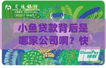 小鱼贷款叫什么公司
