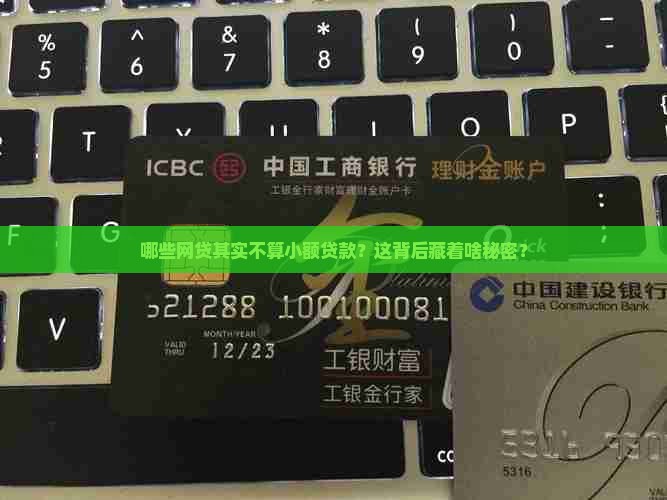 哪些网贷不是小额贷款