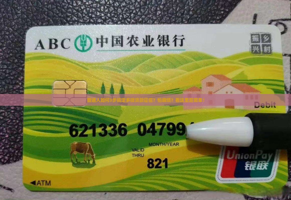 多微贷款征信