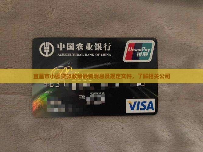宜昌市小额贷款政策最新