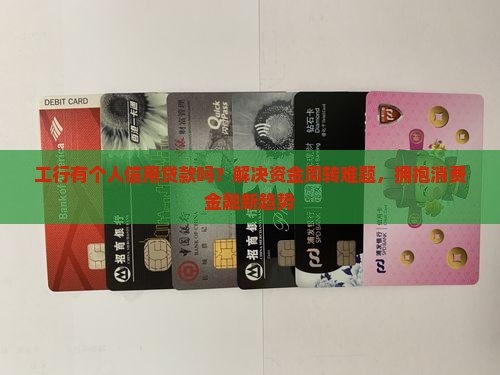 工行有个人信用贷款