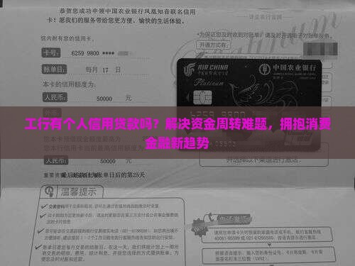 工行有个人信用贷款