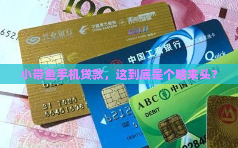 小带鱼手机贷款属于哪里