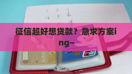 征信很好想贷款怎么办