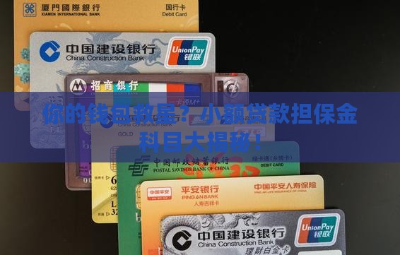 小额贷款担保金科目