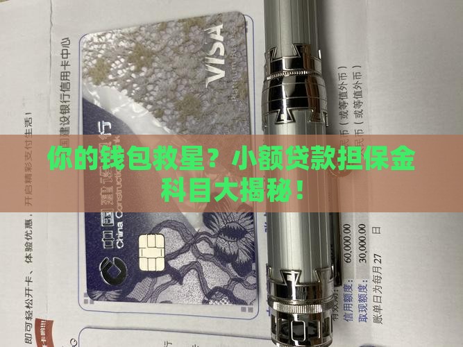 小额贷款担保金科目