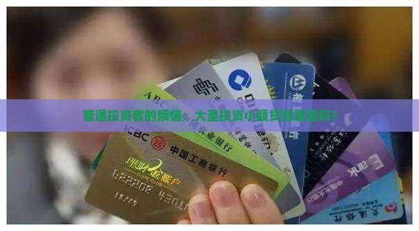 大圣投资小额贷款