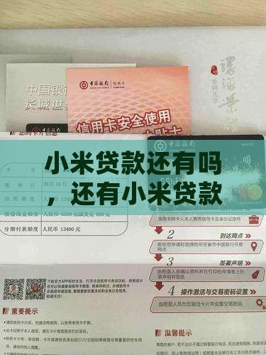 多小米贷款还有吗