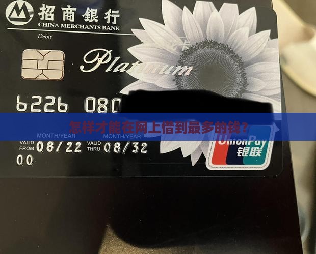 怎么在网上贷款最多