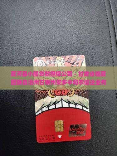 夏河县小额贷款担保公司