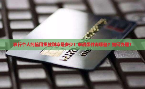农行个人纯信用贷款