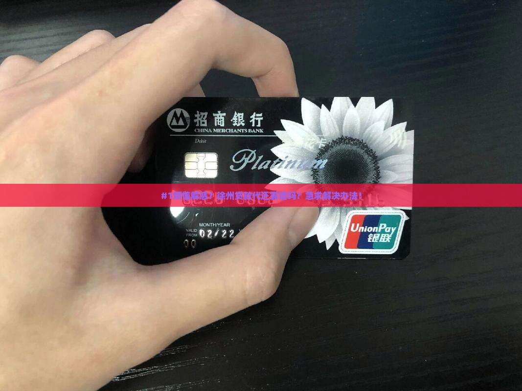 徐州贷款代还