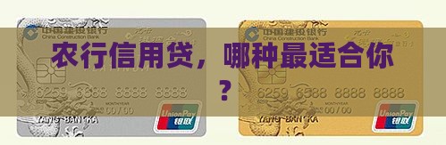 农行信用贷款类型