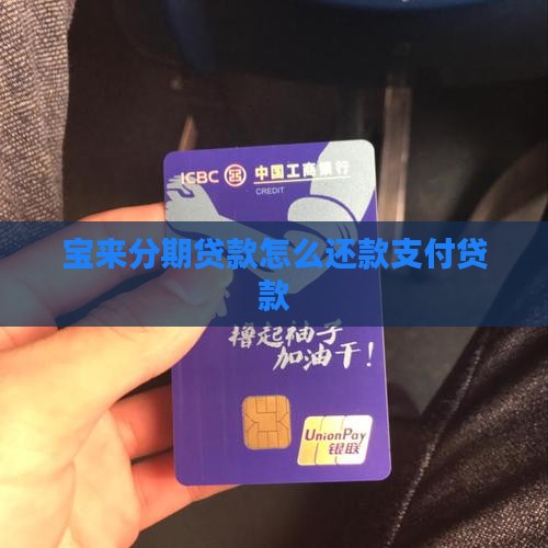 宝来分期贷款还款