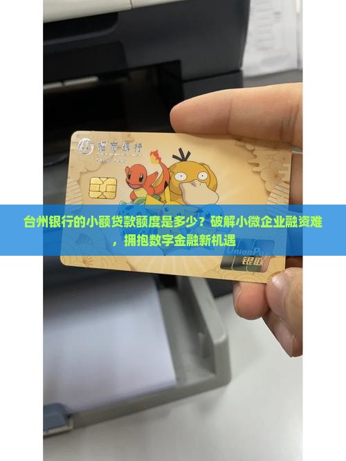 台州银行的小额贷款额度