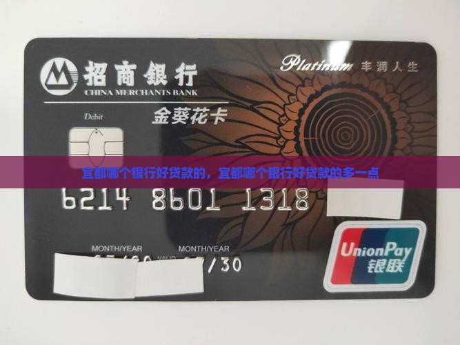 宜都哪个银行好贷款的
