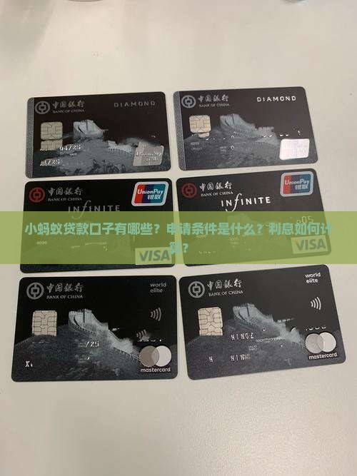 小蚂蚁贷款口子